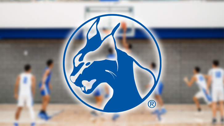 Wildcats Athletics logo